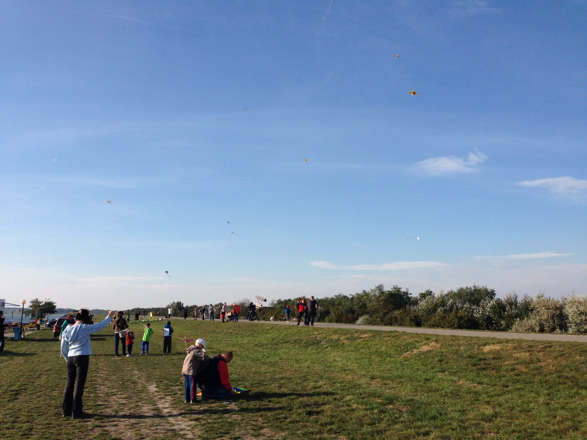 12087899_10153231063217843_2255768150617884566_o