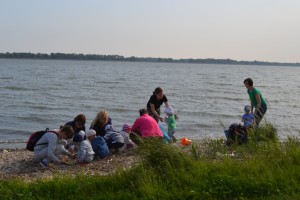 ????????????????????????????????????